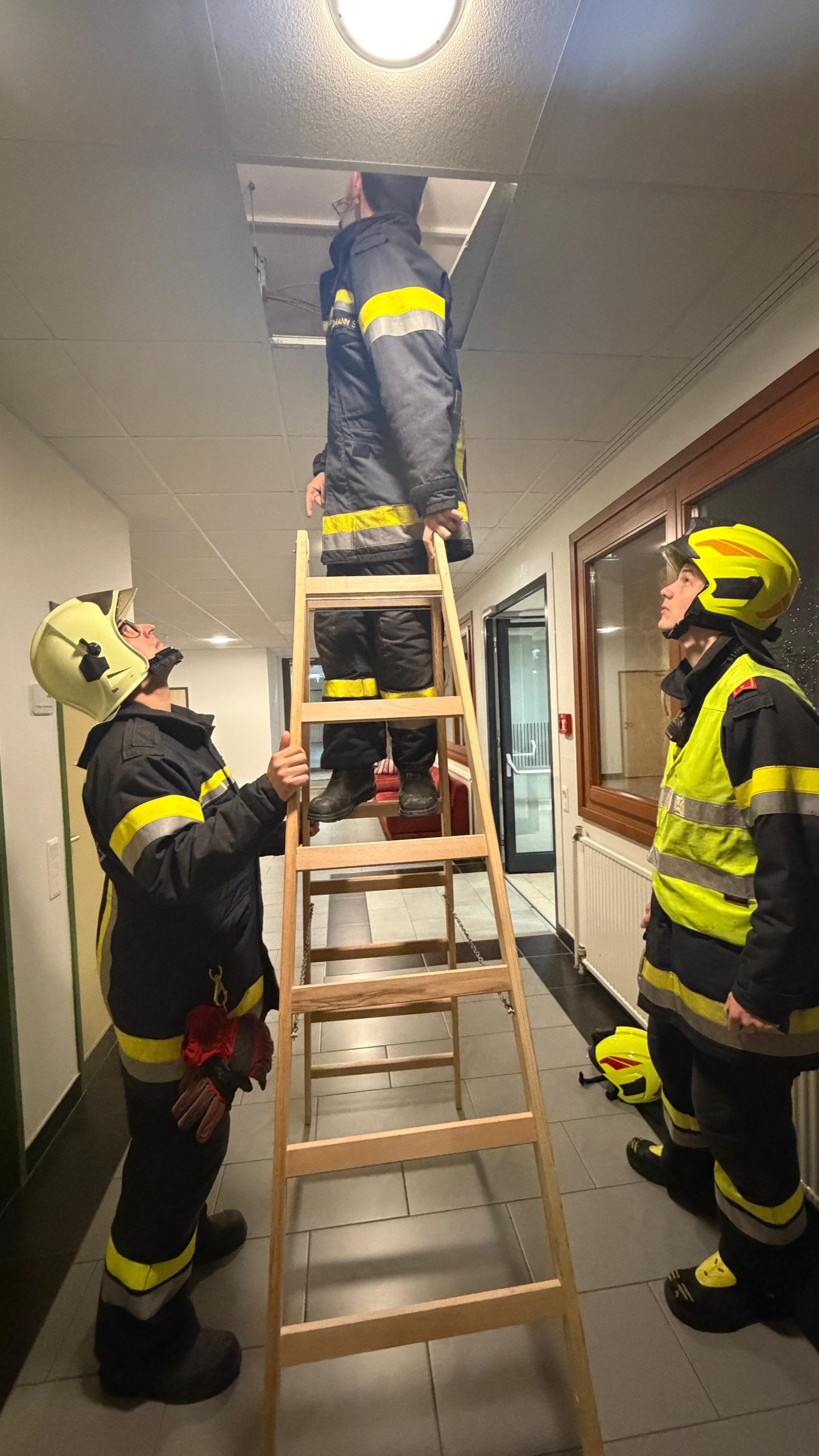 E072026_GMABrand_FFRudmanns1